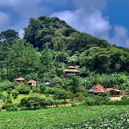 Finca Neblina Del Bosque Esteli Exterior photo