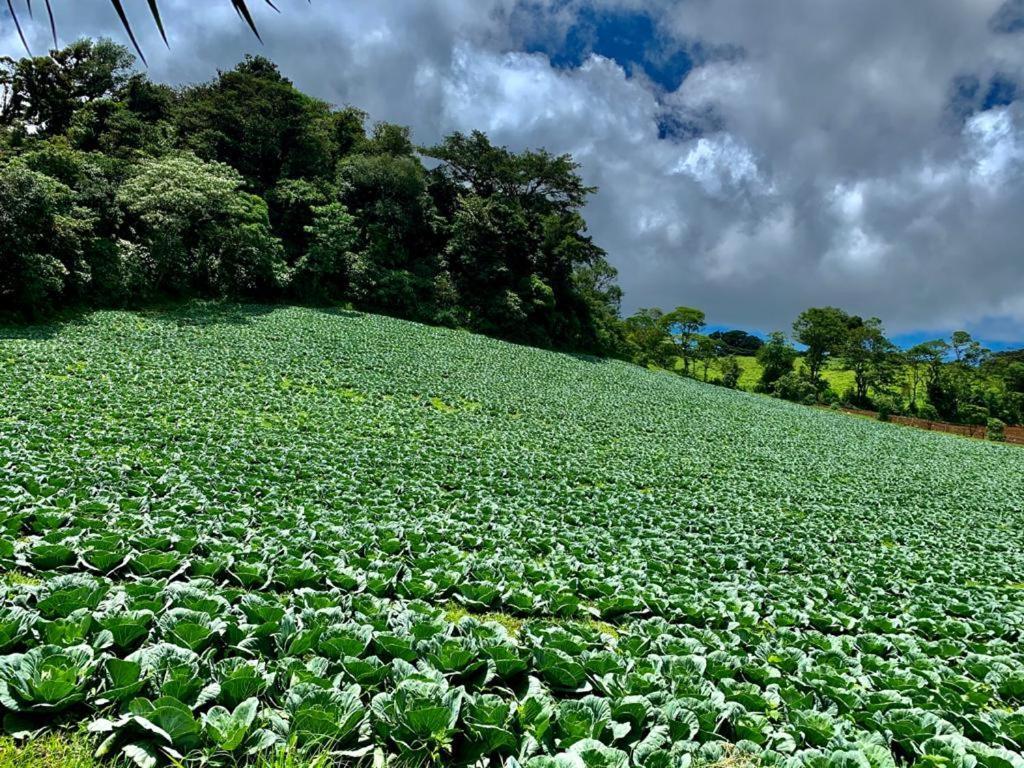 Finca Neblina Del Bosque Esteli Exterior photo