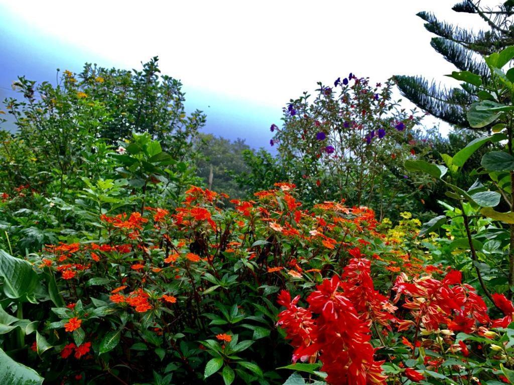 Finca Neblina Del Bosque Esteli Exterior photo