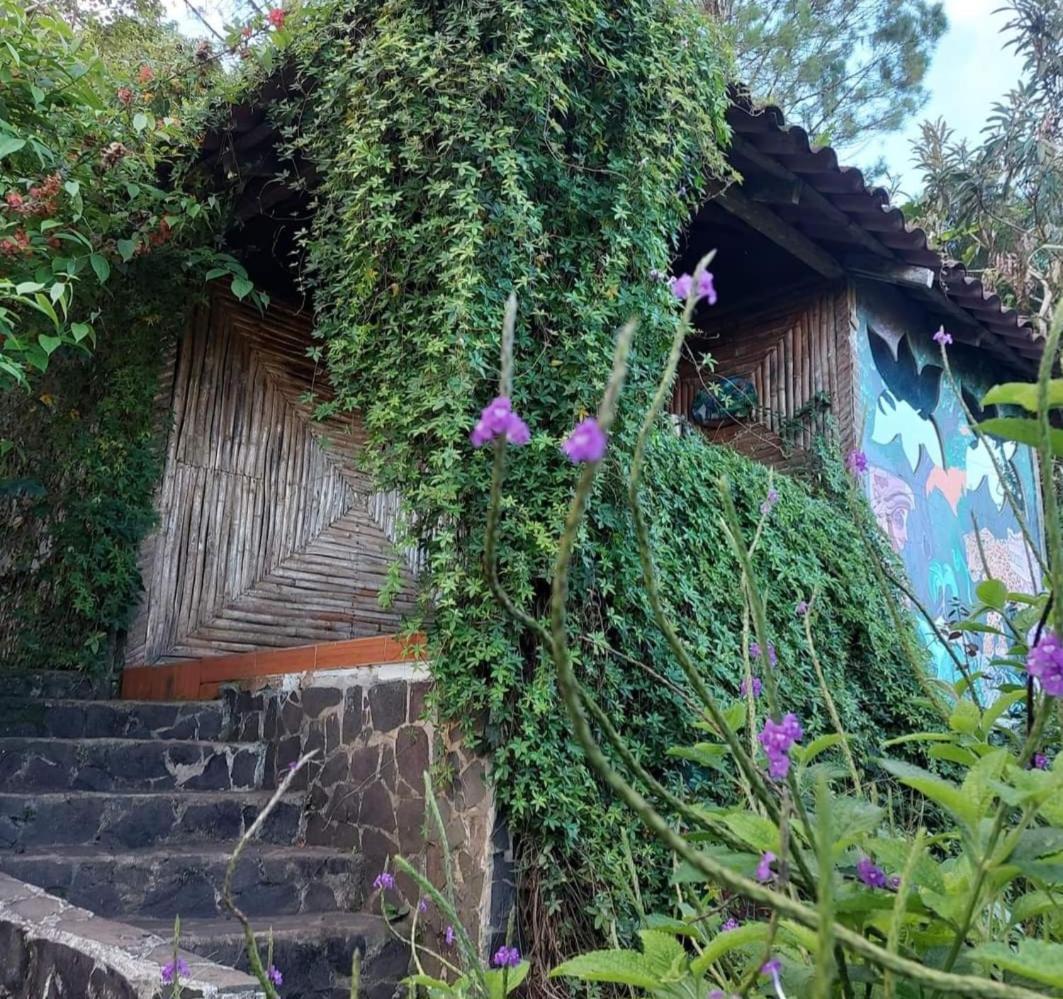 Finca Neblina Del Bosque Esteli Exterior photo
